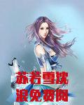 苏若雪沈浪免费阅读