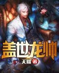 盖世龙帅 小说