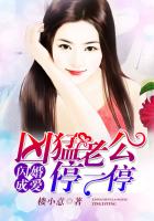 闪婚成爱:凶猛老公停一停小说下载