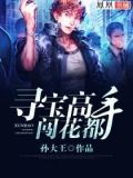 寻宝高手闯花都下载