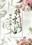 卸甲后我待字闺中