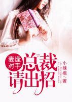 妻逢对手:总裁请出招 小说