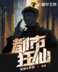 苏紫叶宋阑珊