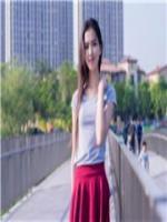 陆少任性宠妻100式