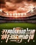 开局搭档哈兰德，横扫欧洲诸强