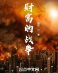 财富的战争
