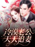 冷漠老公天天追妻傅雅雷子枫