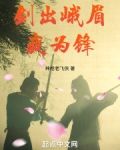 剑出峨眉我为锋