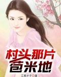 村头那片苞米地