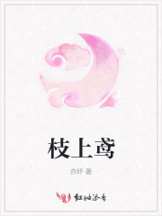 枝上鸢知乎